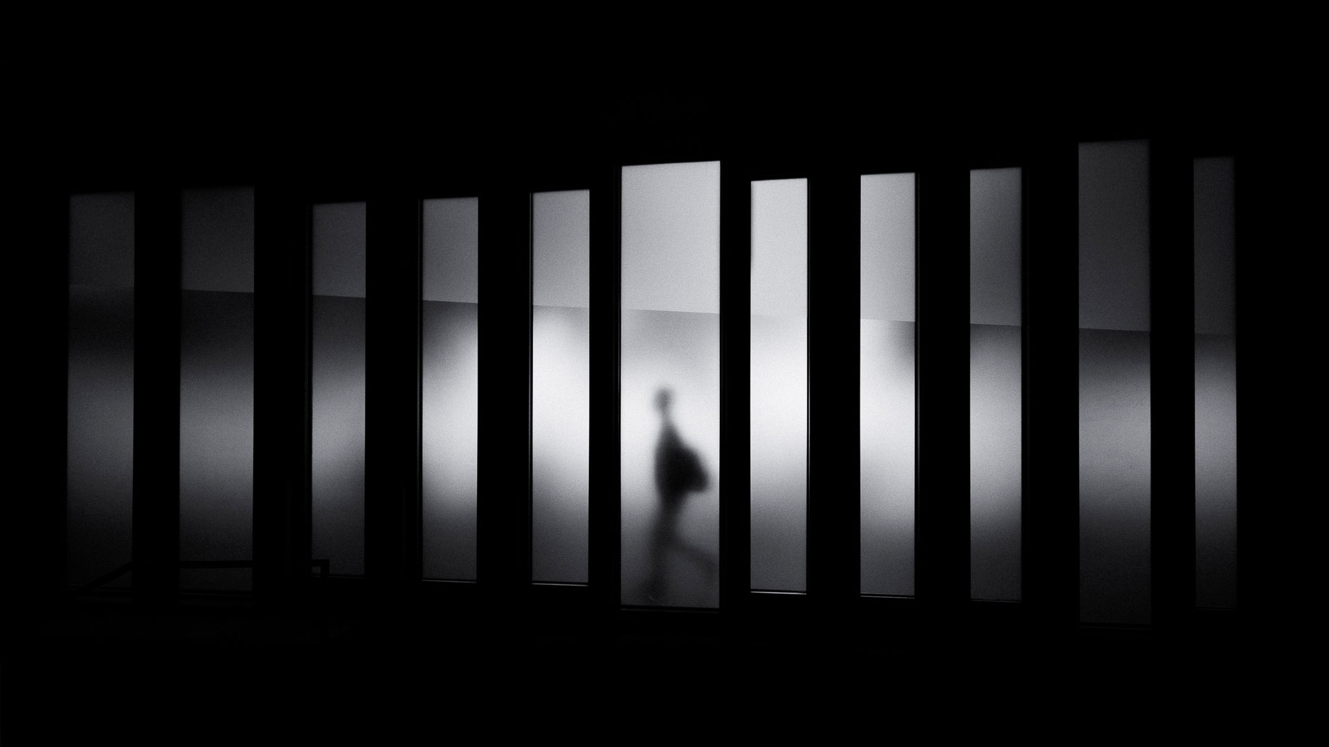 Fortior Slider 19 web